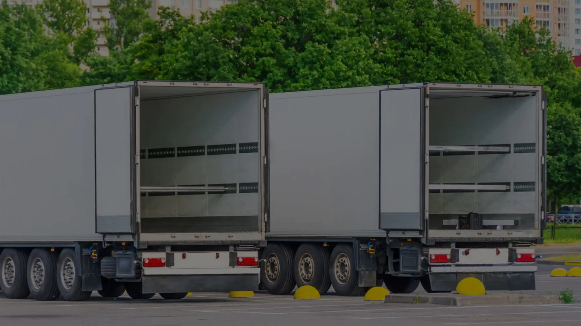 Trailer kèm theo